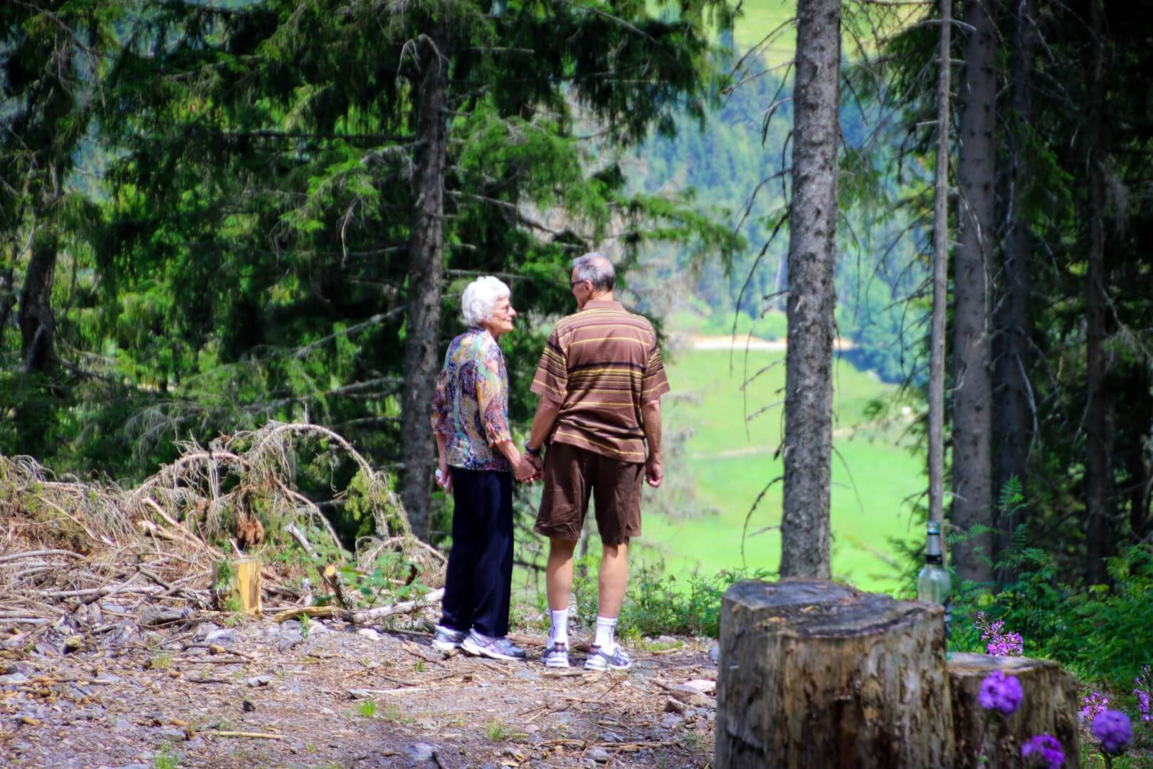 Summer Activity Ideas For Seniors LiveWell Health And Physiotherapy Summer Activity Ideas For Seniors LiveWell Health And Physiotherapy