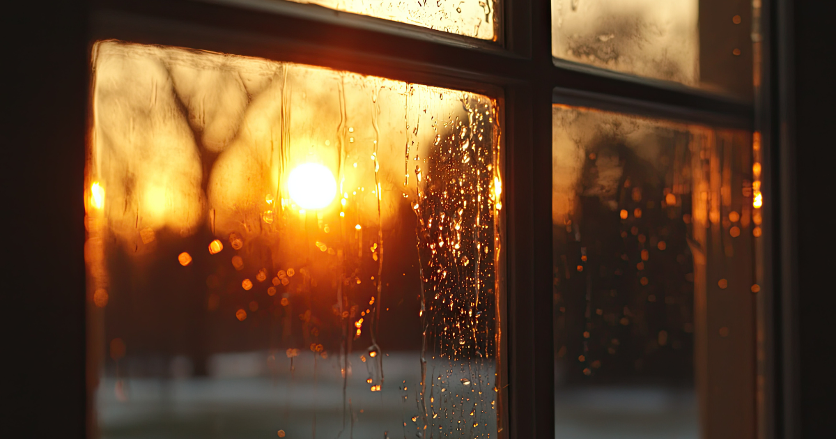 Winter View Through the Window with lack of sunlight